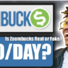 Is Zoombucks Real or Fake?